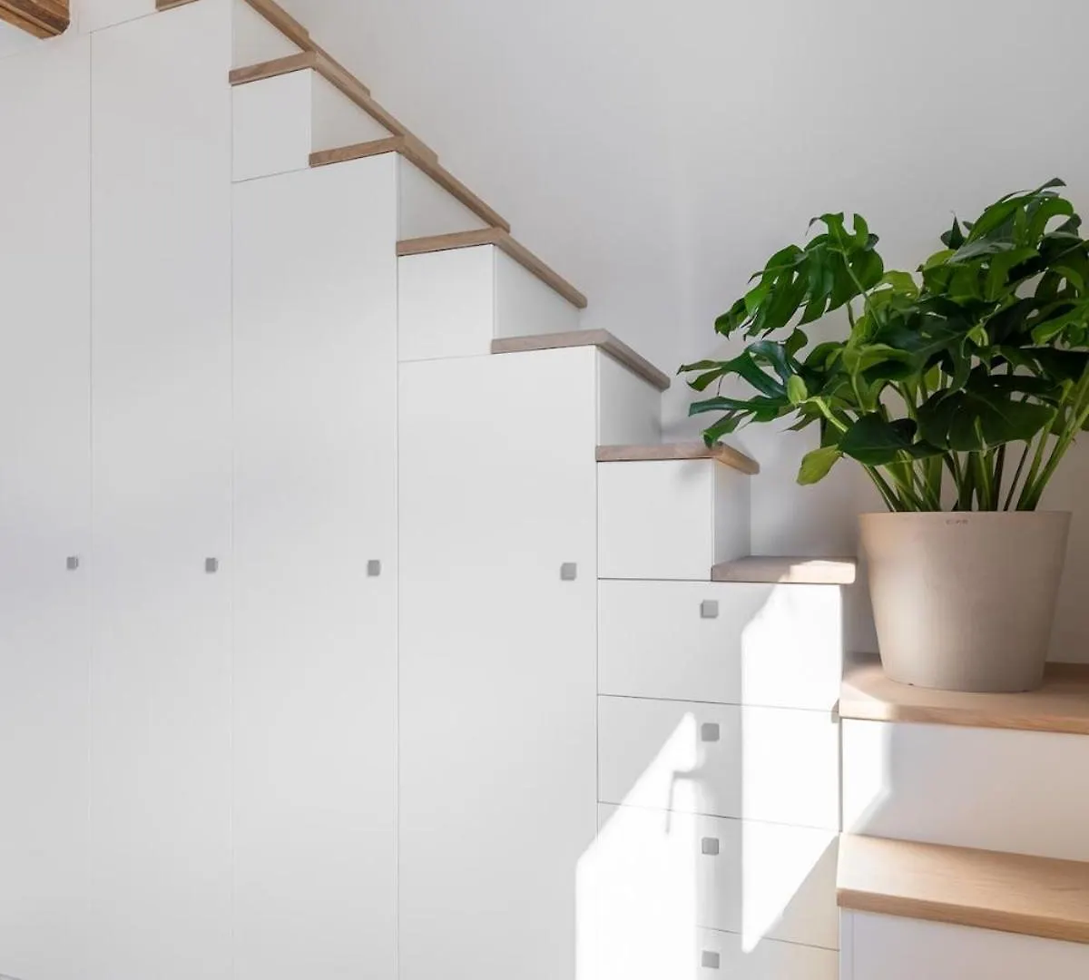 Casa Clavature, Nel Cuore Di Bologna 0*,